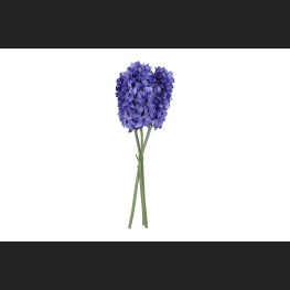 Hyacint 3 Blauw, 821448