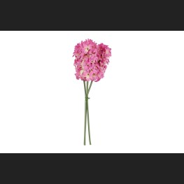 Hyacint 3 d.Roze, 821450