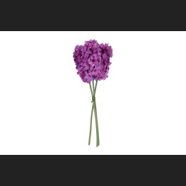 Hyacint 3 Fuchsia, 821451