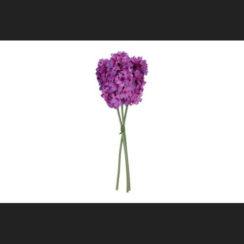 Hyacint 3 Fuchsia, 821451