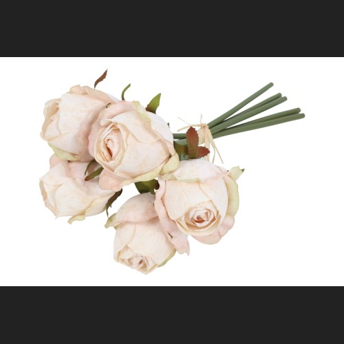 Bos Rozen Créme, 827856