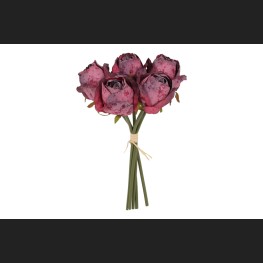 Bos Rozen Fuchsia, 827860