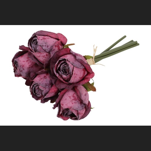 Bos Rozen Fuchsia, 827860