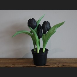 Tulp in Pot Zwart, 809046