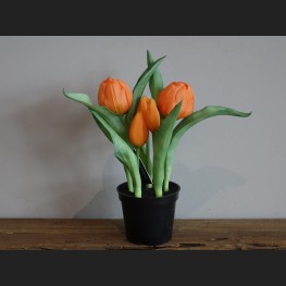 Tulp in Pot Oranje, 809045