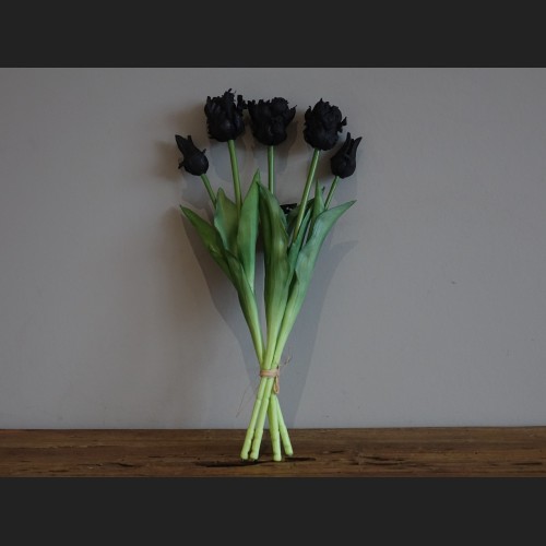 Tulp (parkiet) Boeket Zwart, 808554