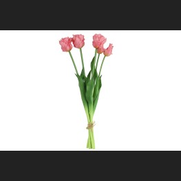 Tulp (parkiet) Boeket Roze, 802398
