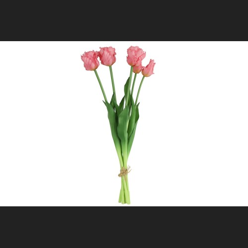 Tulp (parkiet) Boeket Roze, 802398