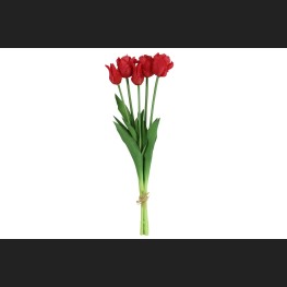 Tulp (parkiet) Boeket Fuchsia, 802400