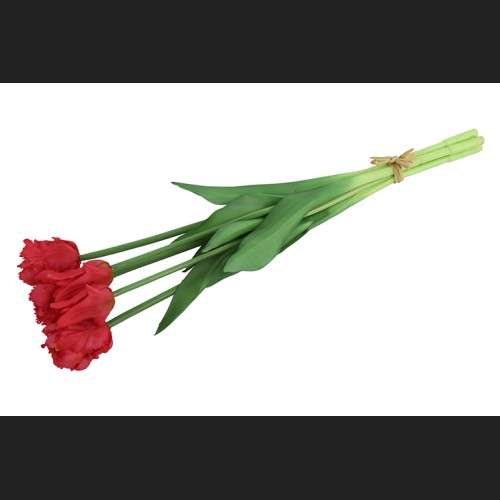 Tulp (parkiet) Boeket Fuchsia, 802400