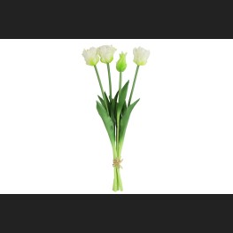 Tulp (parkiet) Boeket Wit, 802404