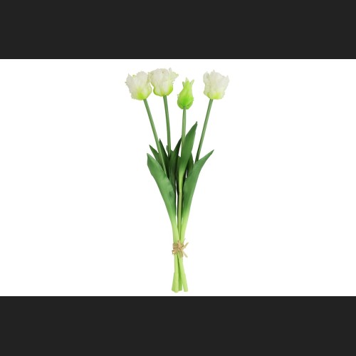 Tulp (parkiet) Boeket Wit, 802404