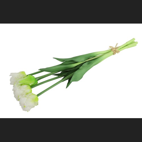 Tulp (parkiet) Boeket Wit, 802404