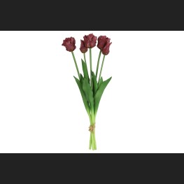Tulp (parkiet) Boeket Paars, 802405