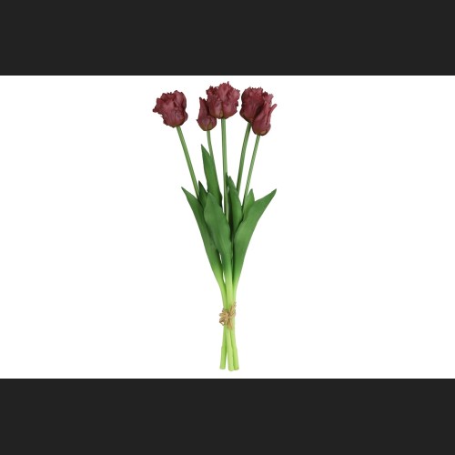 Tulp (parkiet) Boeket Paars, 802405