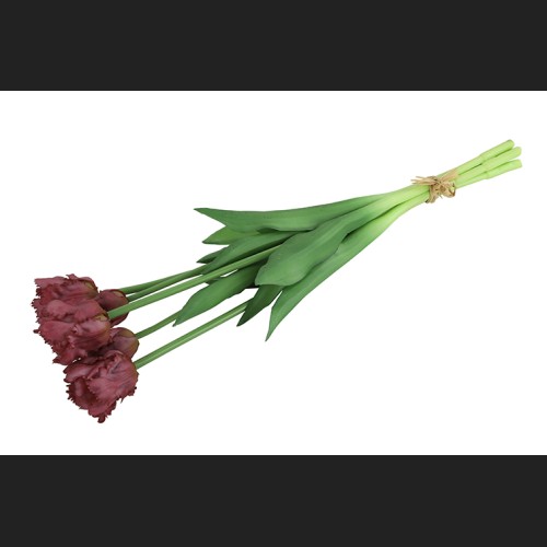 Tulp (parkiet) Boeket Paars, 802405