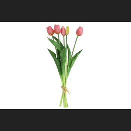 Tulp Boeket Roze, 802431