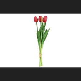 Tulp Boeket Rood, 802433