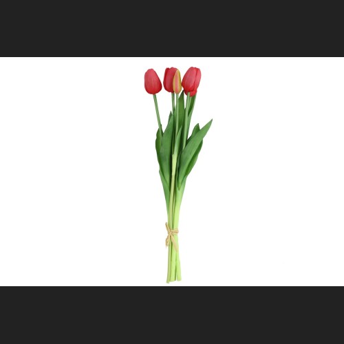 Tulp Boeket Rood, 802433