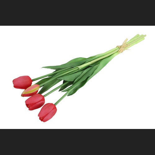 Tulp Boeket Rood, 802433