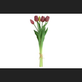 Tulp Boeket Paars, 802438