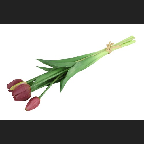 Tulp Boeket Paars, 802438