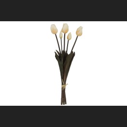 Tulp Boeket wit, 808042