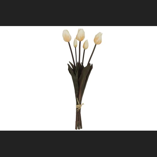 Tulp Boeket wit, 808042