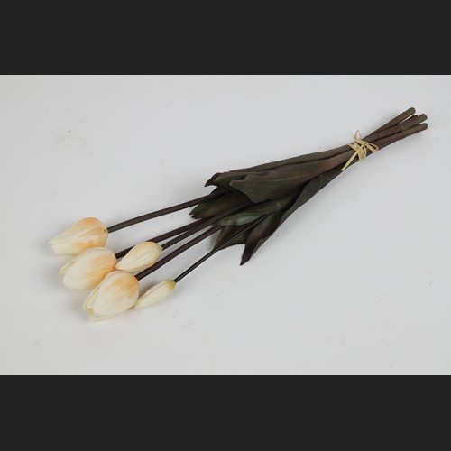 Tulp Boeket wit, 808042