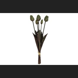 Tulp Boeket Donker Groen, 808043