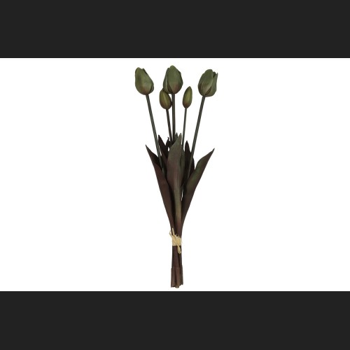 Tulp Boeket Donker Groen, 808043