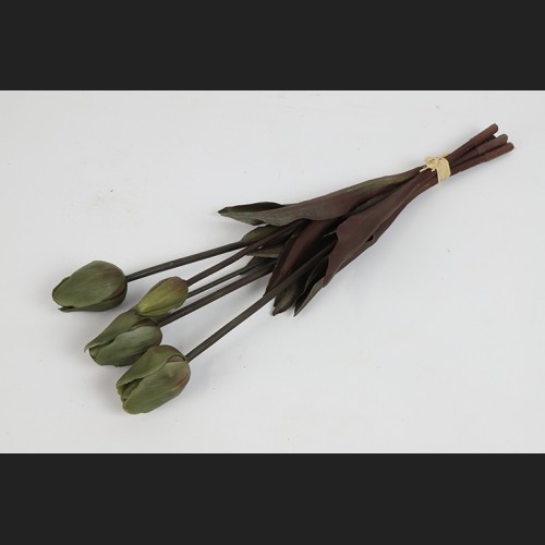 Tulp Boeket Donker Groen, 808043