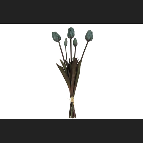 Tulp Boeket Blauw-Groen, 808044