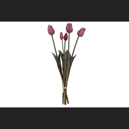 Tulp Boeket Fuchsia, 808046