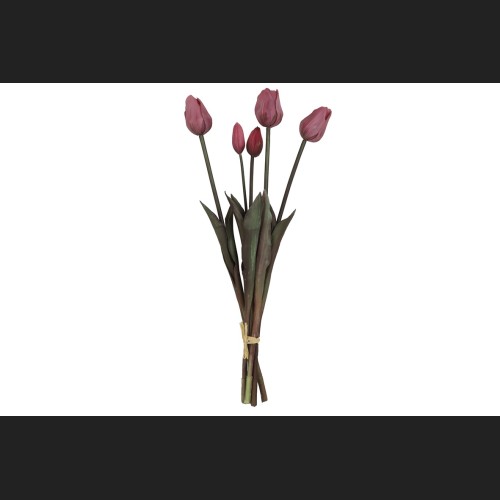 Tulp Boeket Fuchsia, 808046