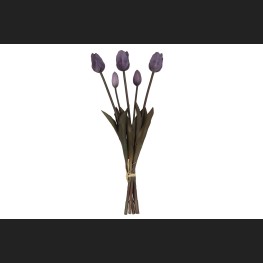 Tulp Boeket Paars, 808047