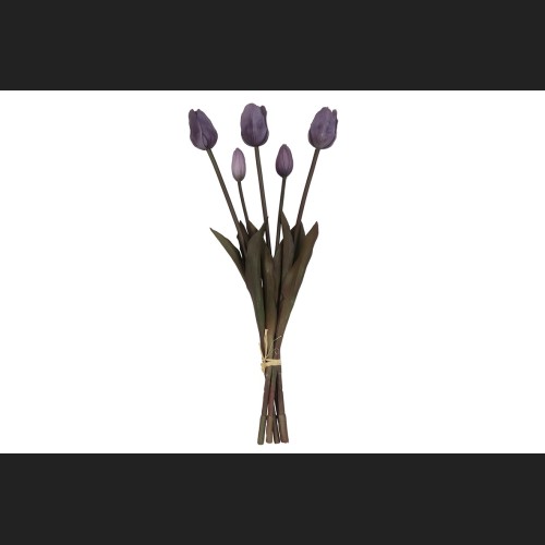 Tulp Boeket Paars, 808047