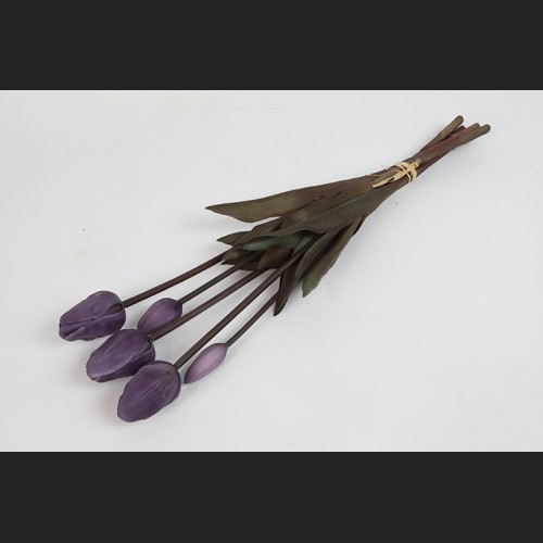 Tulp Boeket Paars, 808047