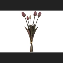 Tulp Boeket Donker Roze, 808048