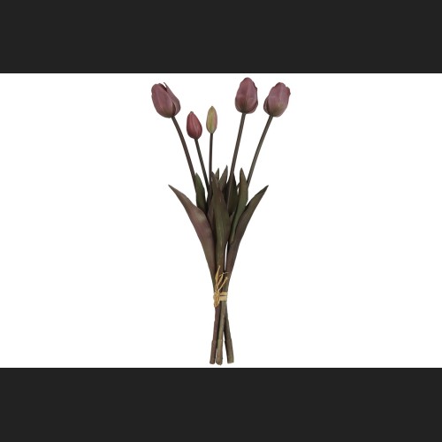 Tulp Boeket Donker Roze, 808048