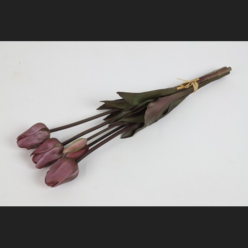 Tulp Boeket Donker Roze, 808048