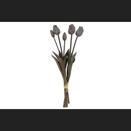Tulp Boeket Grijs, 808049