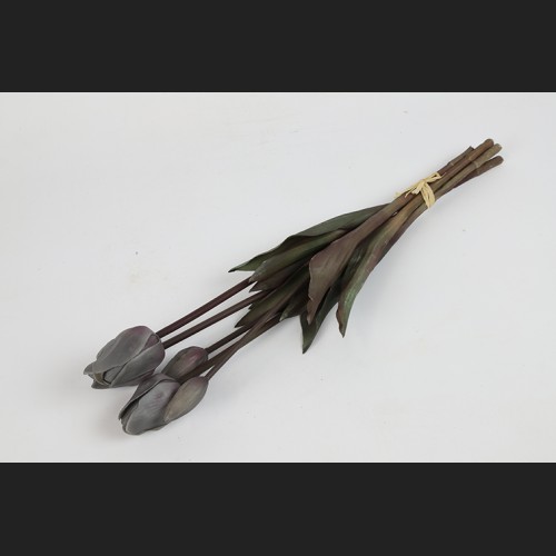 Tulp Boeket Grijs, 808049