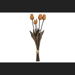 Tulp Boeket Oranje, 808050