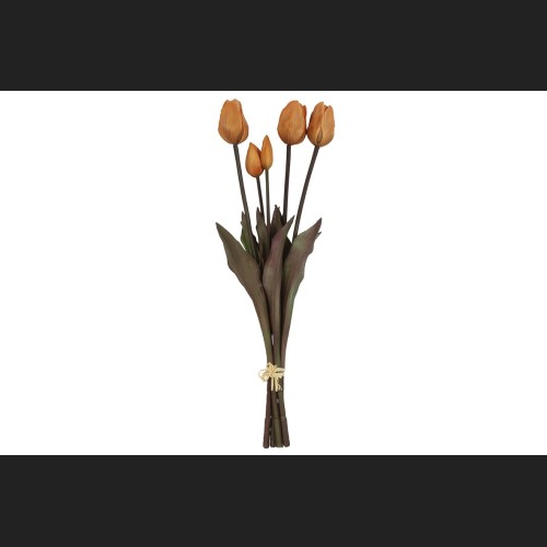 Tulp Boeket Oranje, 808050