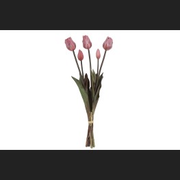 Tulp Boeket Roze, 808051