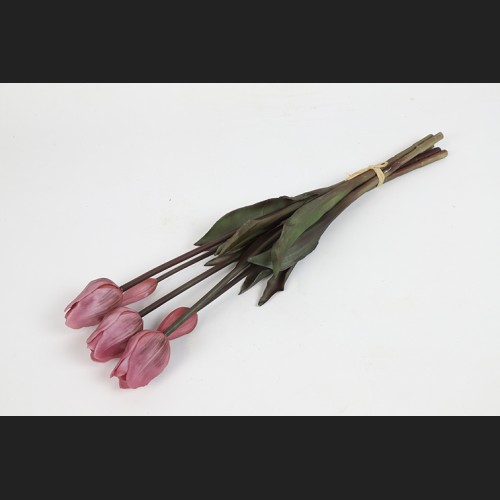 Tulp Boeket Roze, 808051