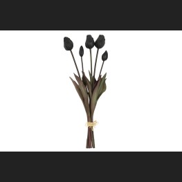Tulp Boeket Zwart, 808052