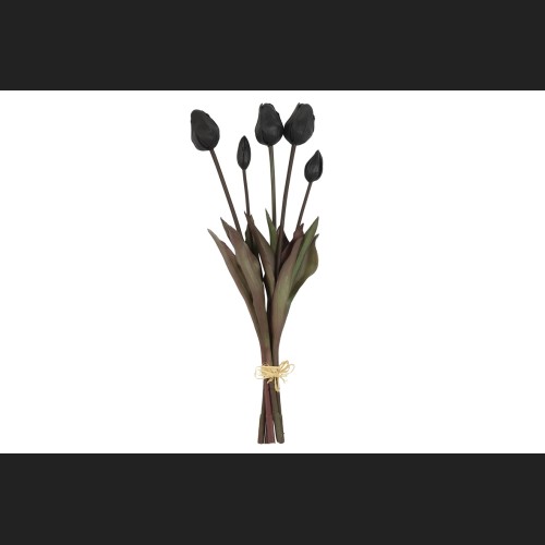 Tulp Boeket Zwart, 808052