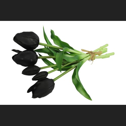 Tulp Boeket Zwart, 808544